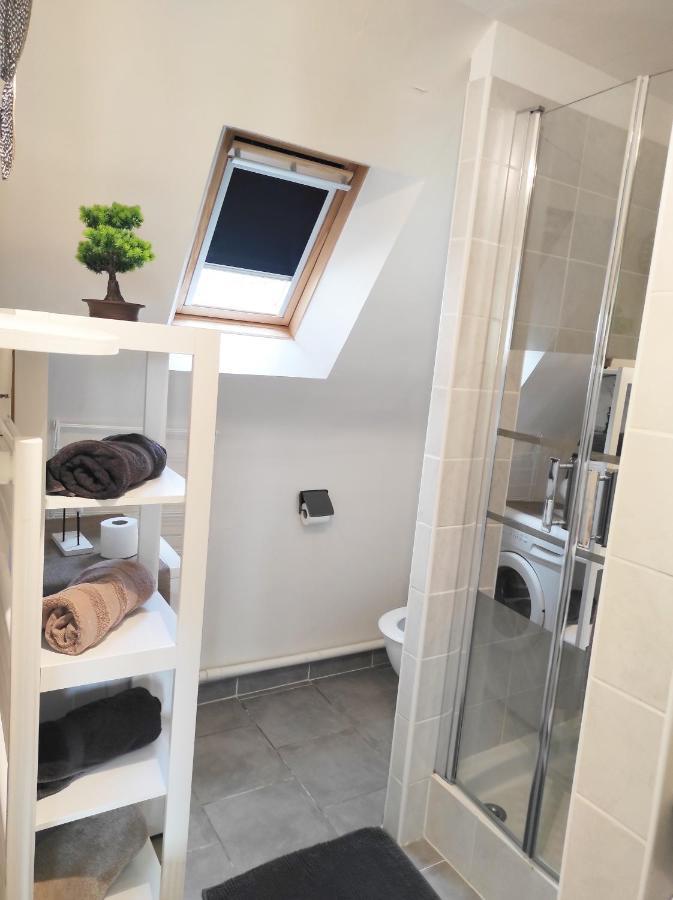 Appartement Saint Malo Vue Sur Mer Et Sur Intra Muros, Ferry, Plage Et Commerces A 50 M 외부 사진